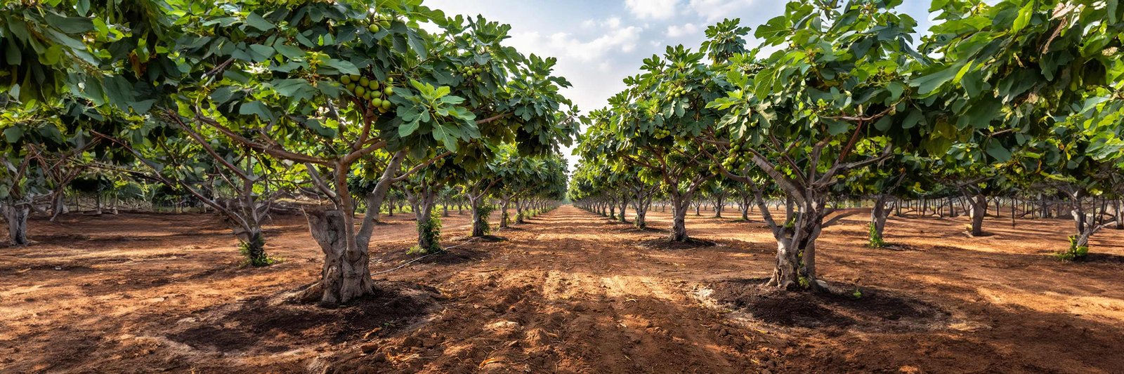 Let’s Stay Connected